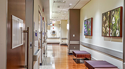 Birth Center Renovation